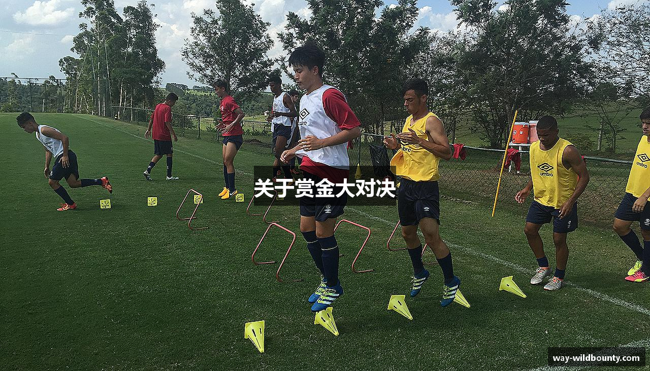 关于赏金大对决